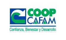 Cliente 29